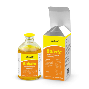 Multivitamin Injection