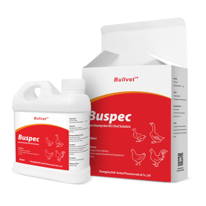 Spectinomycine HCL Oral Solution