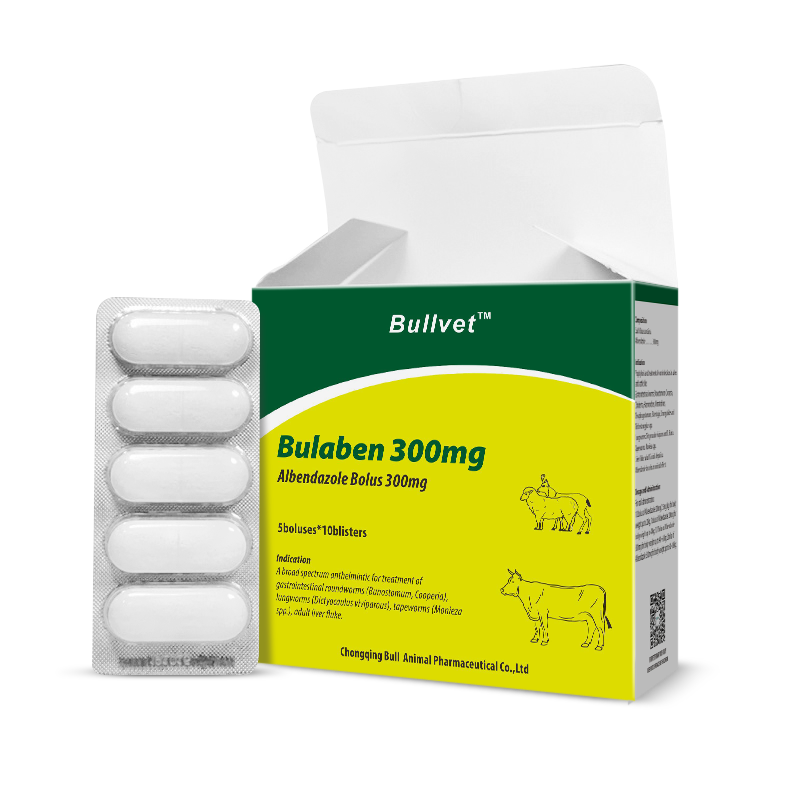 Albendazole Bolus 300mg