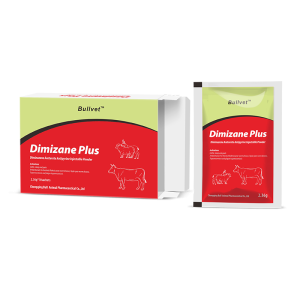 Dimizane Plus